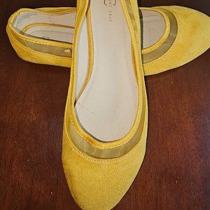 Catos Yellow Flats
